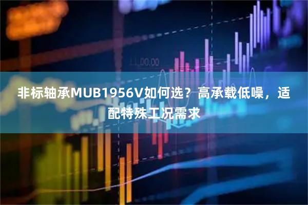非标轴承MUB1956V如何选？高承载低噪，适配特殊工况需求