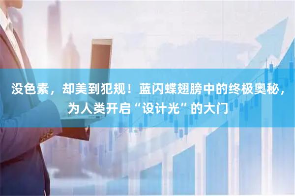 没色素,却美到犯规!蓝闪蝶翅膀中的终极奥秘,为人类开启“设计光”的大门