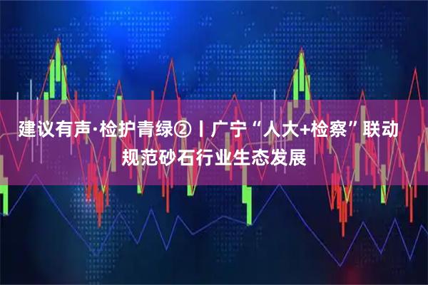 建议有声·检护青绿②丨广宁“人大+检察”联动  规范砂石行业生态发展